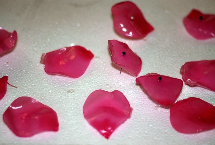 how to make soap petals