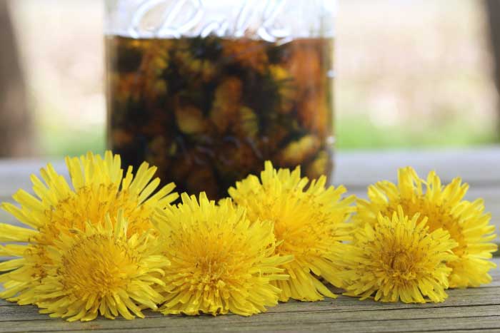 how to make dandelion oil