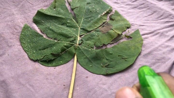 Make a Lovely Bleach Dye T-Shirt with a Leaf Pattern | Upstyle