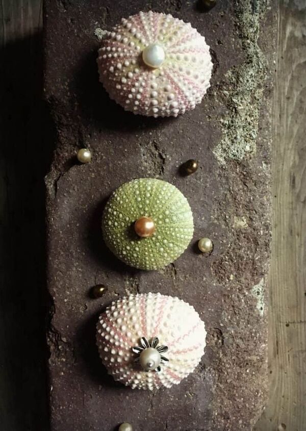 diy sea urchin necklace