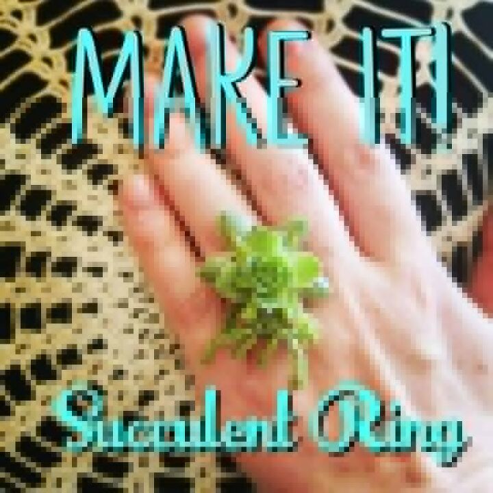 succulent ring tutorial