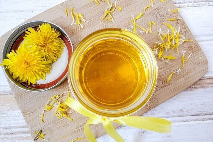 how to make dandelion infused oil plus ways to use it