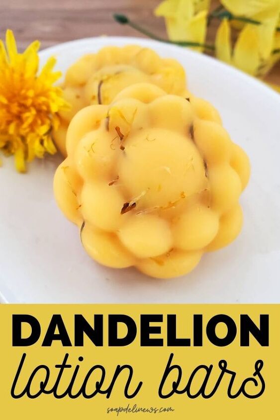 how to make dandelion lotion bars using dandelion oil plus benefits