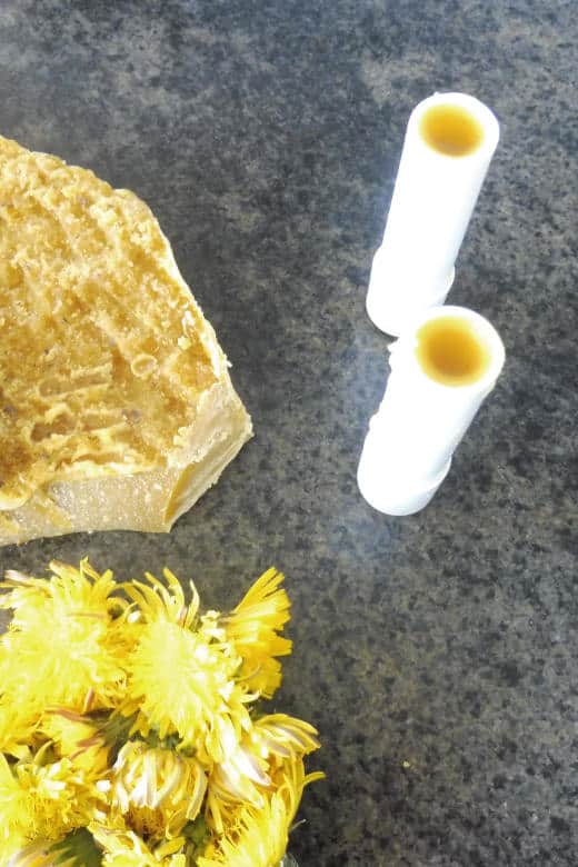 dandelion salve and lip balm for your cracked skin