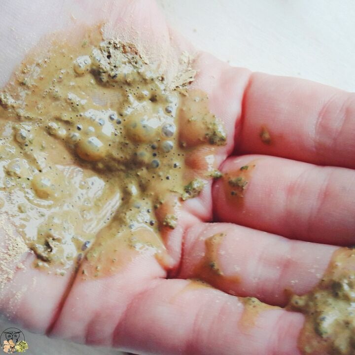 stinging nettle fizzy clay facial cleanser for oily skin