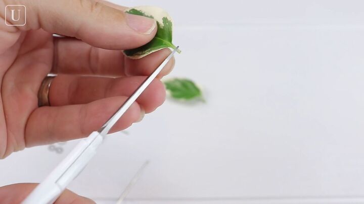 2 easy ways to make cute resin leaf earrings at home, Trimming the stems from the leaves