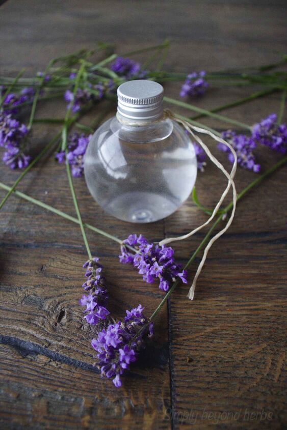 how to make lavender water and 14 ways to use it