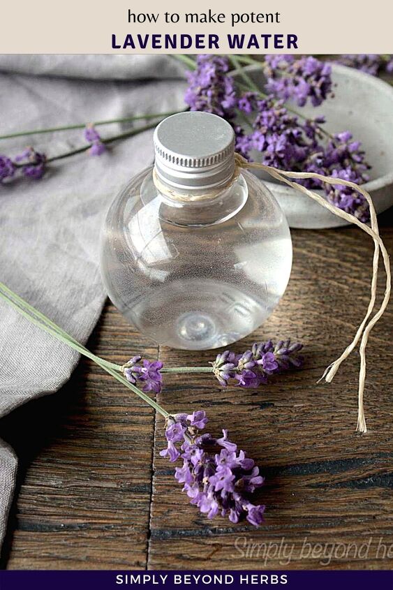 how to make lavender water and 14 ways to use it