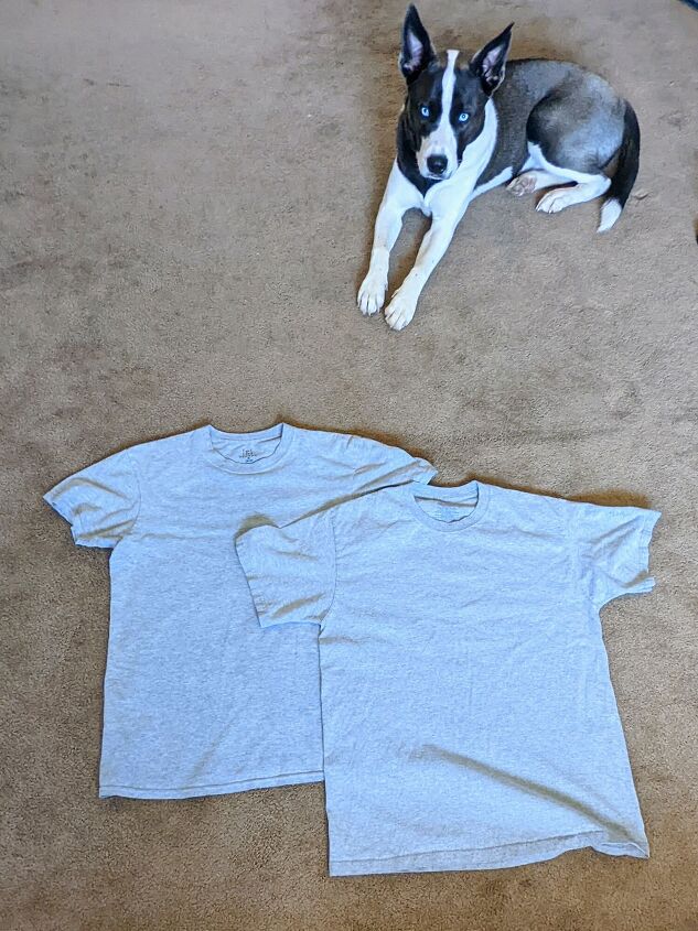 not you average t shirt dress, My pup thought I was taking his pic