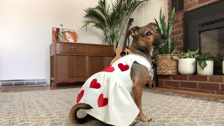 how to make a cute diy valentine s day outfit for you your dog, DIY Valentine s Day outfit for a dog