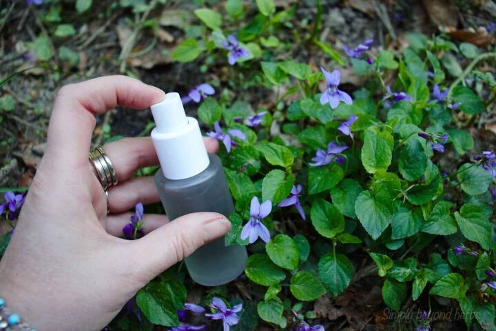 diy natural face and hair wash with violets