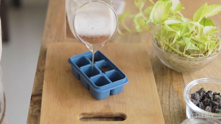 5 natural ways to wash hair without shampoo, Pouring the DIY shampoo into an ice tray