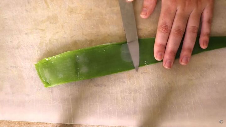 how to make an all natural toxin free plastic free diy moisturizer, Cutting the leaves of an aloe vera plant