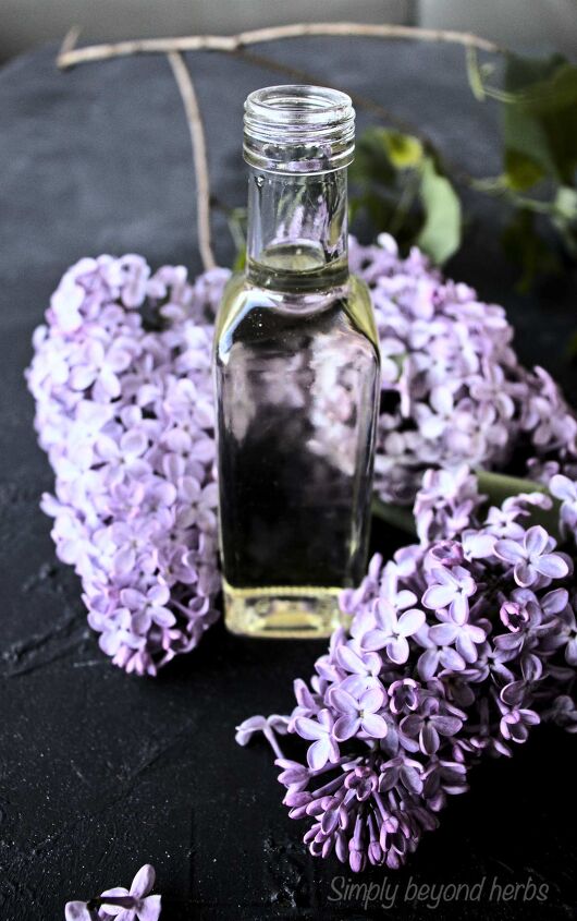 how to make lilac oil and its uses, how to use lilac oil