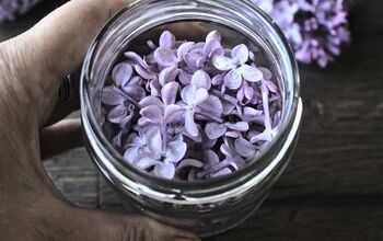 How to Make Lilac Oil and Its Uses