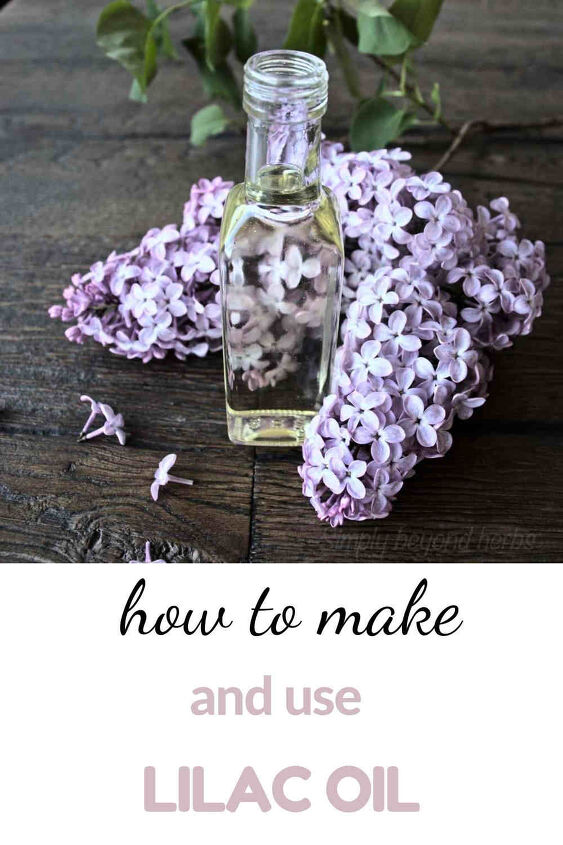 how to make lilac oil and its uses