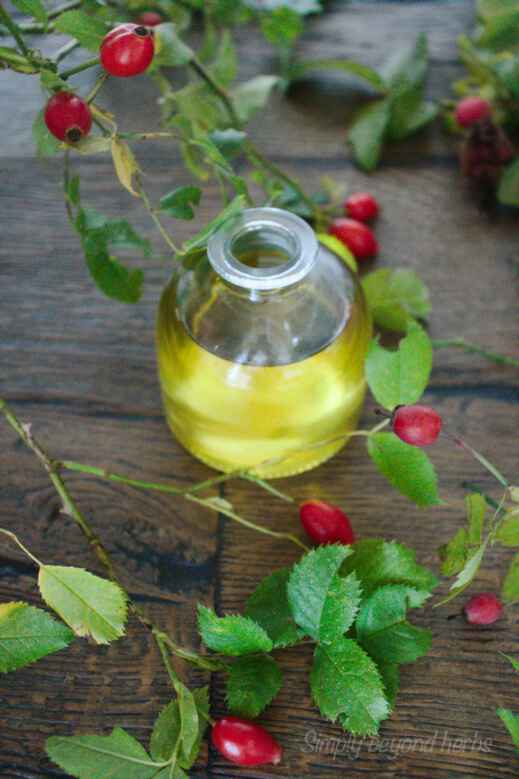 how to make rosehip oil to heal your skin