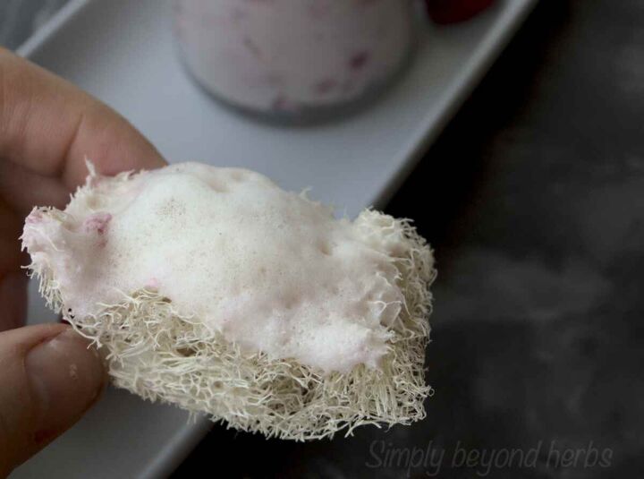 foaming bath butter recipe with real raspberries