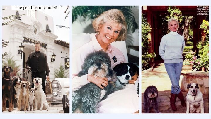 how to dress like a coastal grandmother an aesthetic style guide, Doris Day as a coastal grandmother icon