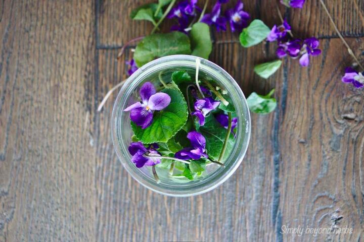 how to make violet oil and its uses
