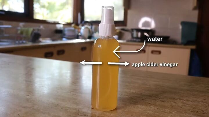 can apple cider vinegar really give your hair highlights, Apple cider vinegar hair rinse