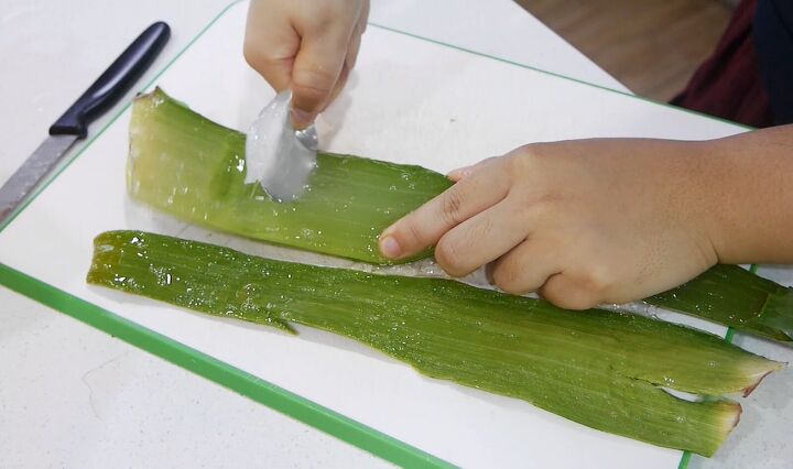 how to make an aloe vera hair mask zero waste beauty, Scooping out the aloe vera gel