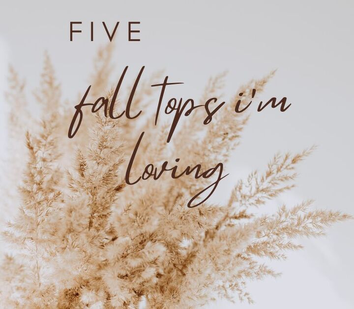 5 fall tops i m loving