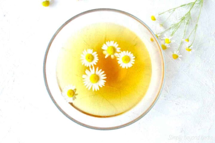 chamomile tea hair rinse and its alterations for glowing hair, chamomile tea for skin