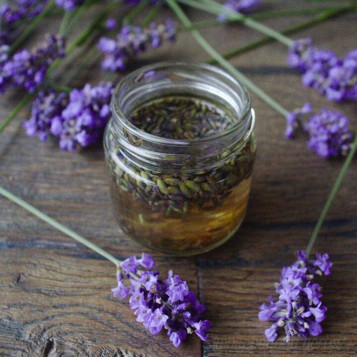 how to make lavender extract its uses and recipes, lavender tincture benefits