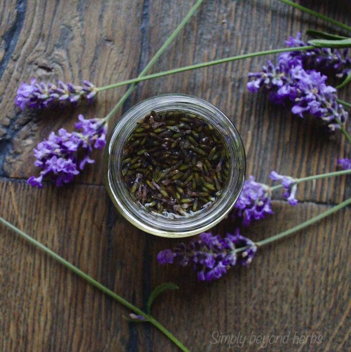 how to make lavender extract its uses and recipes, lavender extract uses