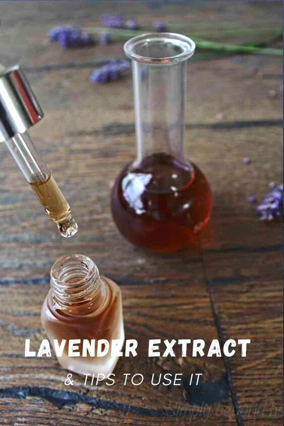 how to make lavender extract its uses and recipes, lavender tincture