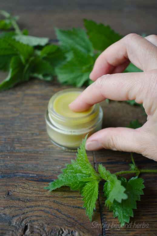 diy pain relief salve with nettle, homemade antiinflamatory salve