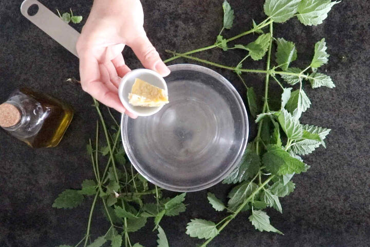 diy pain relief salve with nettle, most powerful anti inflamatory natural salve