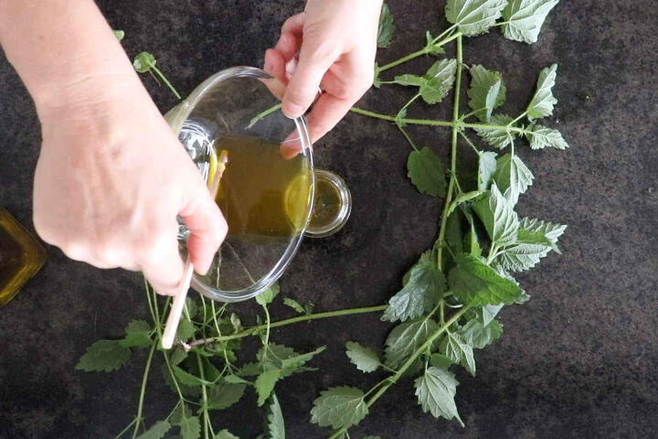 diy pain relief salve with nettle, how do you make natural pain relief salve