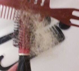 the easy way to clean your hairbrushes