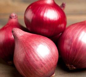 Onions for Hair Growth; How and Why You Should Use Them on Your Hair.