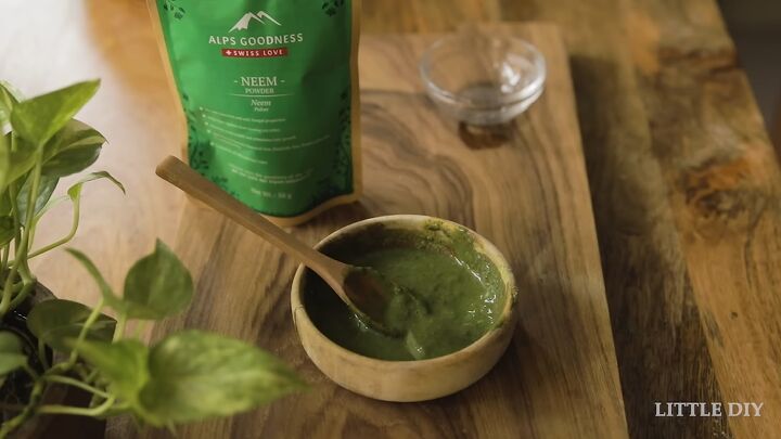 how to make a bay leaf spray and a neem scalp mask for healthy hair, Scalp mask for dandruff DIY