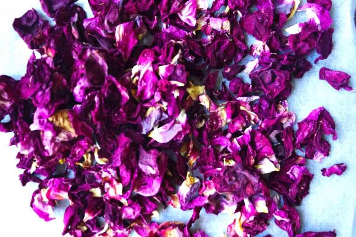 make rose petal powder recipe for glowing skin, drying rose petals