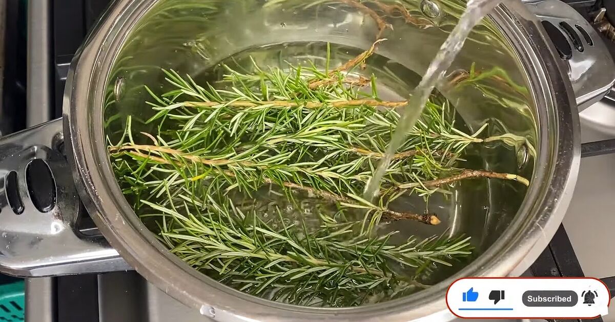 How to DIY Rosemary Water for Extreme Hair Growth | Upstyle