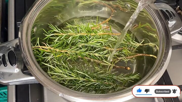 how to diy rosemary water for extreme hair growth, Rosemary in water