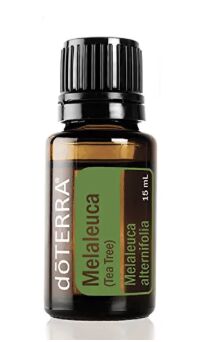 how to make whipped natural hair butter, doTERRA Melaleuca Tea tree essential oil