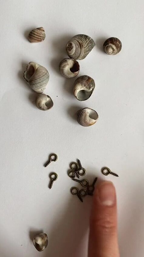 would you replace your buttons with snail shells, Shells