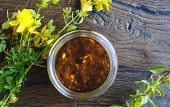 How to Make St John's Wort Oil to Soothe Wounds and Burns
