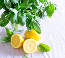 Here's why everyone's rubbing lemon juice on their thighs this week