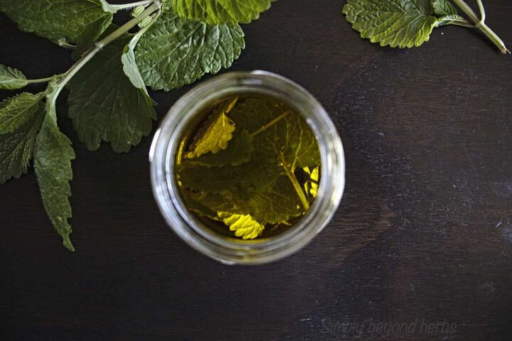 how to make lemon balm oil 10 ways to use it, melissa oil uses