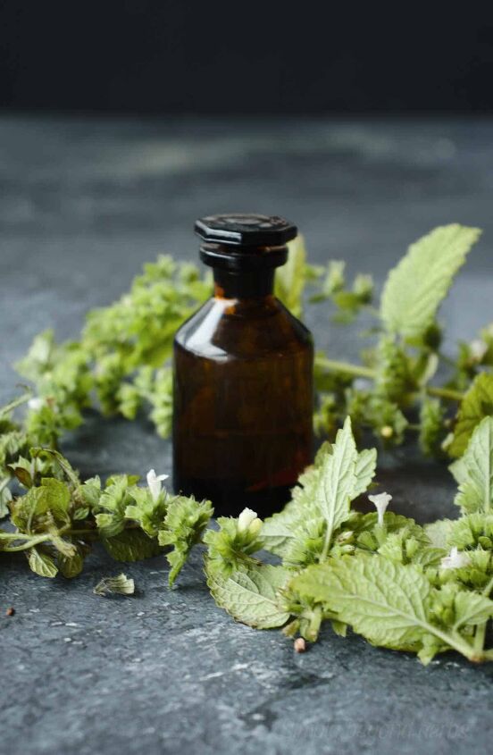 how to make lemon balm oil 10 ways to use it, how to make lemon oil at home
