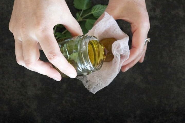 how to make lemon balm oil 10 ways to use it, how to make lemon balm oil