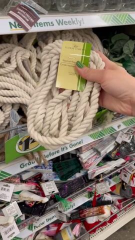 this is the dollar tree hack of the summer, Buying rope
