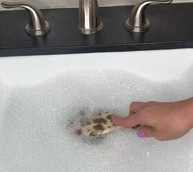 How soaking your hairbrushes in shampoo solves this annoying problem like magic