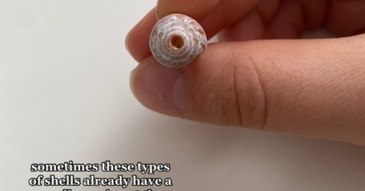 How to Turn Shells Into Pendants | Upstyle